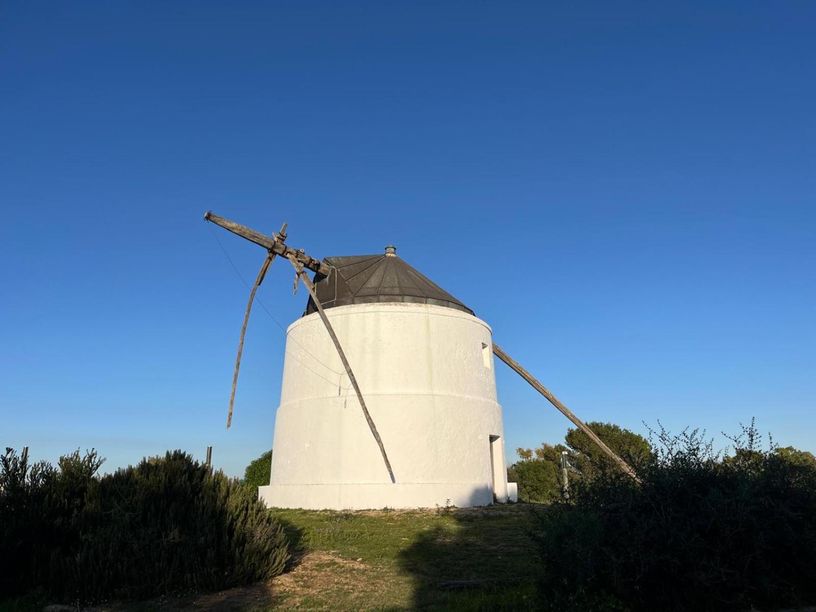 Casa Carmen - Centrico Apartamento Con Terraza Privada Vejer de la Frontera Kültér fotó